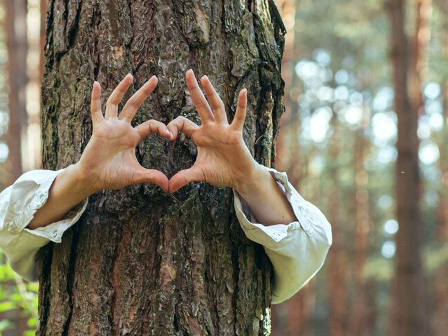 Zwei Hände bilden ein herz und umarmen einen Baum zum Thema Nachhaltigkeit im Kurhaus.